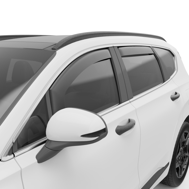 Hyundai Santa Fe Window Visors - EGR - In-Channel - Matte Black - `19-`23