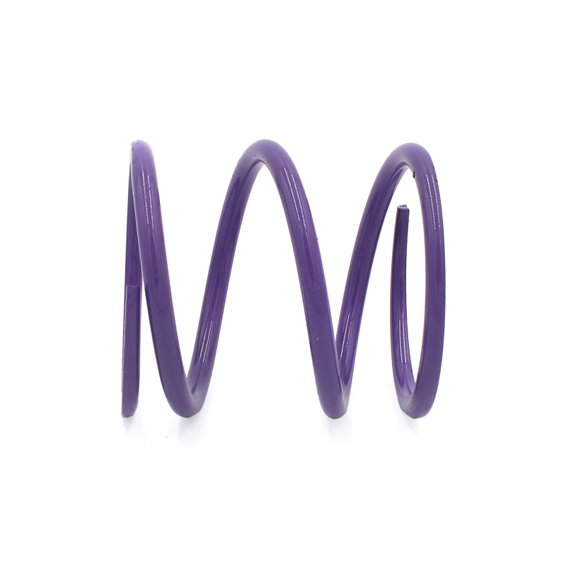 Polaris Xpedition XP Clutch Springs - EPI - Primary - Purple - `24-`27