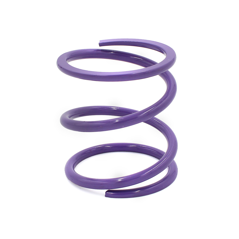 Polaris Xpedition XP Clutch Springs - EPI - Primary - Purple - `24-`27