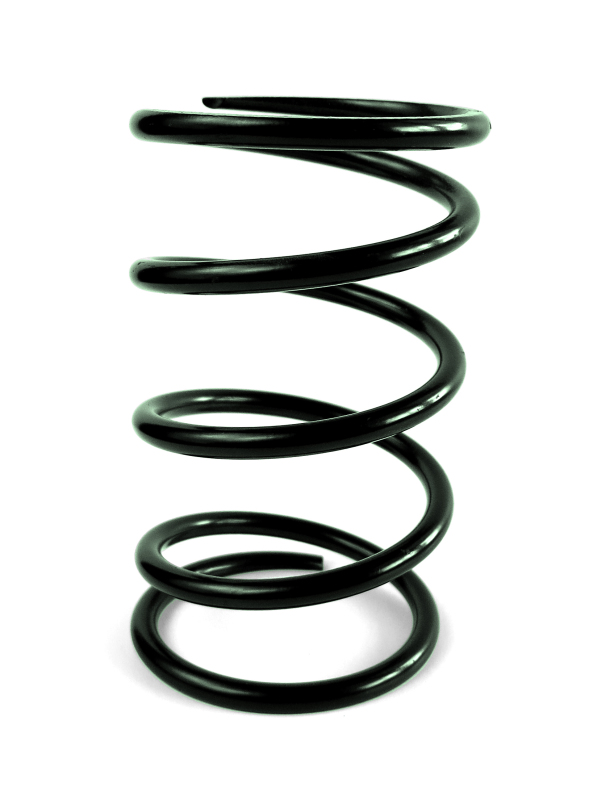 Can-Am Maverick Sport/Trail Clutch Springs - EPI - Secondary Spring - Green - `16-`27