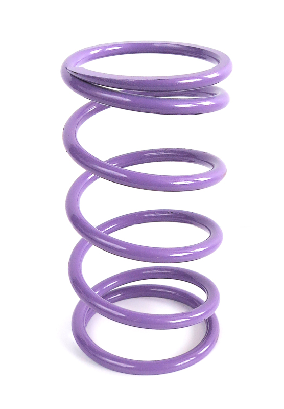 Kawasaki Teryx Clutch Springs - EPI - Secondary - Purple - `12-`27