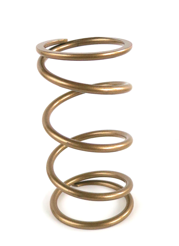 Kawasaki Teryx Clutch Springs - EPI - Secondary Spring - Gold - `12-`27