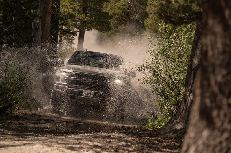 Ford Raptor Suspension Shock Absorber Kit - Rear - FOX - 3.0 Factory Bypass Shock with Live Valve - `19-`27