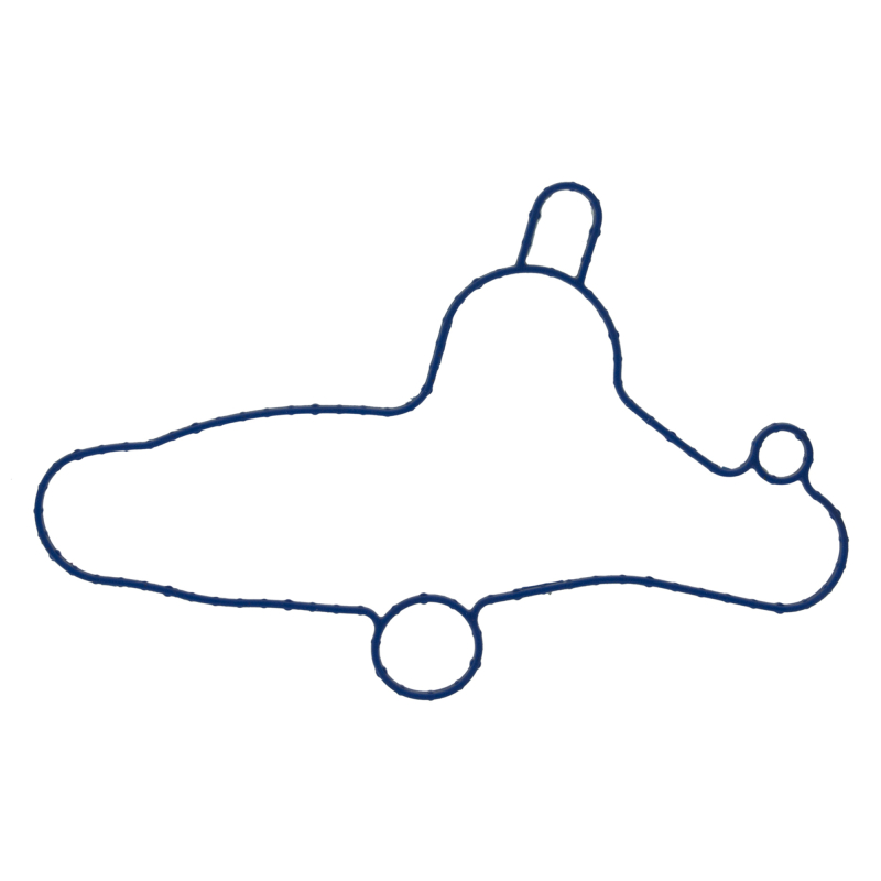 Ford Mustang Water Pump Gasket - Fel-Pro - `11-`17