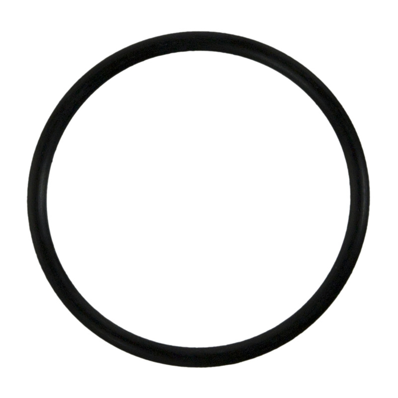 Ford F-150 Water Pump Gasket - Fel-Pro - `11-`23