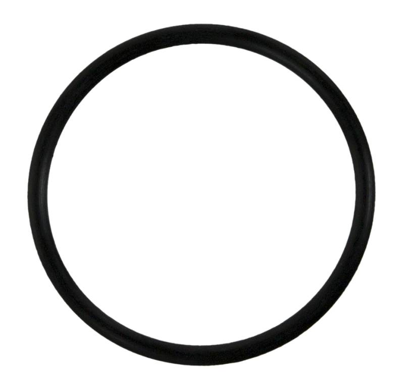 Ford Mustang Water Pump Gasket - Fel-Pro - `11-`17