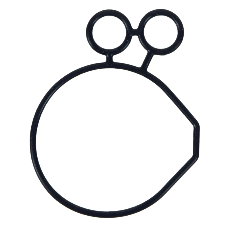 Ford Mustang Oil Pump Seal - Fel-Pro - `15-`21