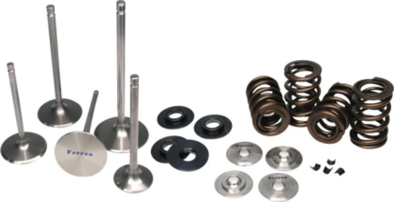 Polaris RZR XP Valve Spring Kit - Ferrea - 2014