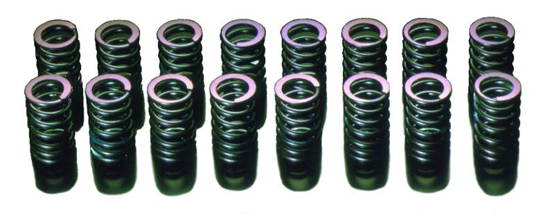 Mitsubishi Lancer Evolution Valve Springs - HKS - `03-`06
