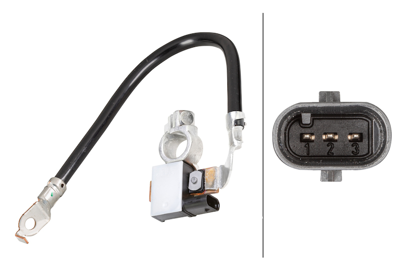 BMW X Series Battery Management Sensor - Hella - HELLA - `07-`14