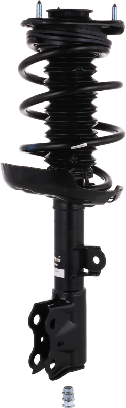 Lexus UX200 Strut-Plus Assembly - Front Right - KYB - `19-`22