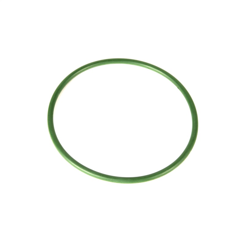 Jeep Wrangler Fuel Pump O-Ring - OMIX - Fuel Pump Module Seal - `05-`06