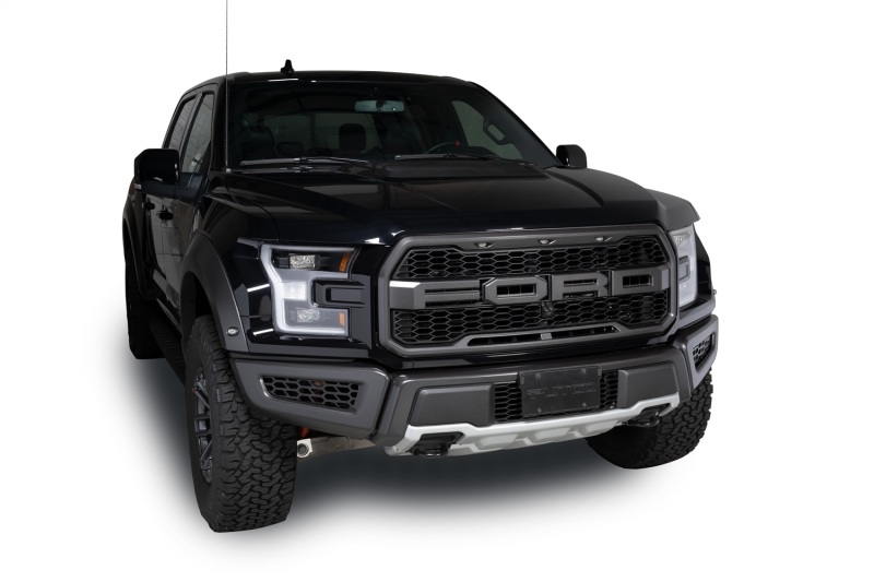 Ford F-150 Raptor Bumper Grille Inserts - Putco - Hex Shield - Black Powder Coated - `17-`20