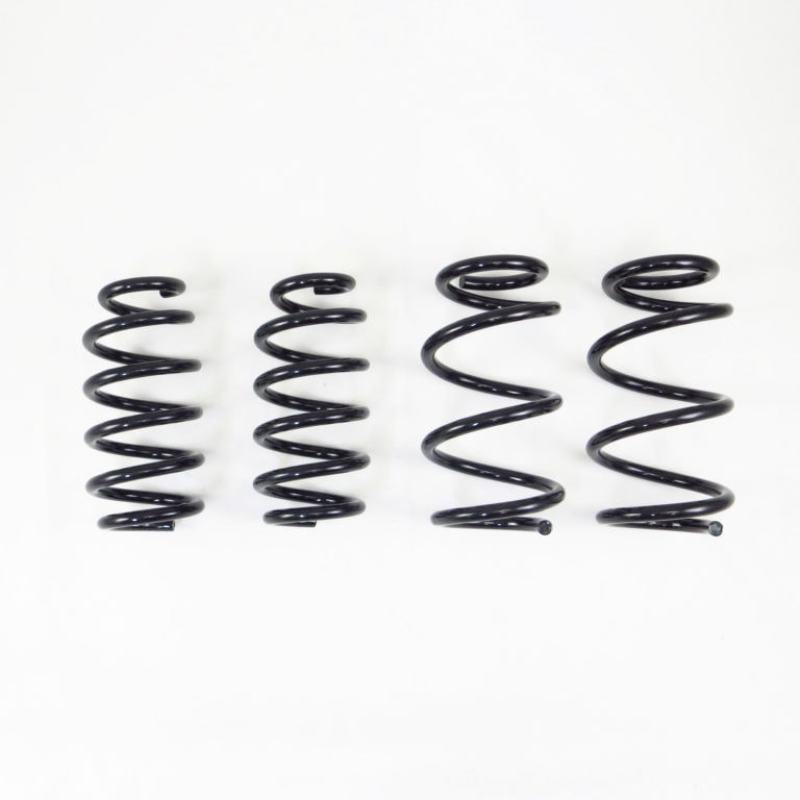 Tesla Model 3 Coilover Suspension Kit - RS-R - Ti2000 Down Springs - `17-`27