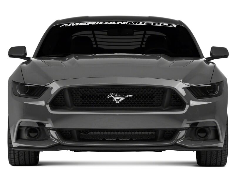 Ford Mustang Turn Signal Conversion Kit - Raxiom - Axial Series Switchback - `15-`17