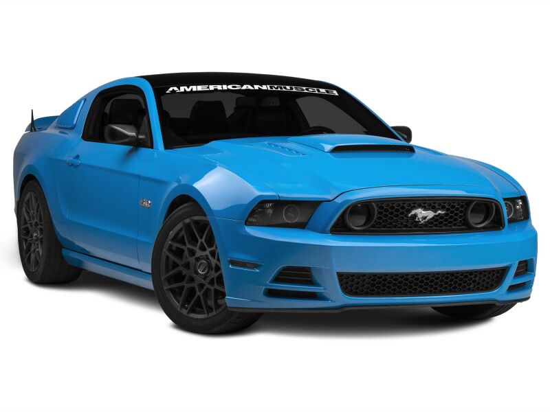 Ford Mustang Bulbs - Raxiom - Axial Series HID 6000K - `08-`23