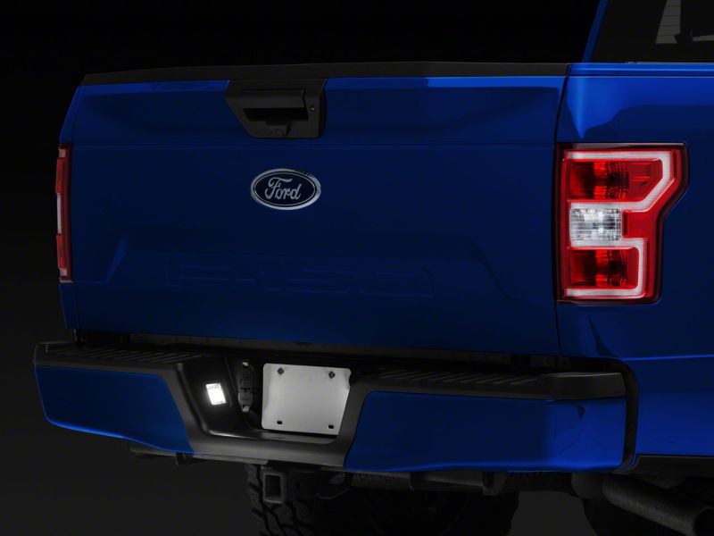 Ford F-150 LED License Plate Light - Raxiom - Axial Series - `15-`23
