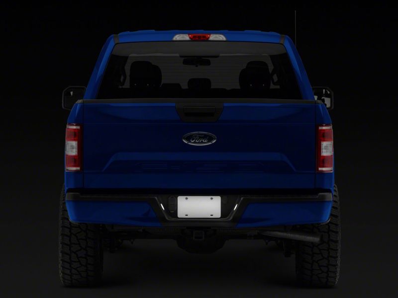 Ford F-150 LED License Plate Light - Raxiom - Axial Series - `15-`23