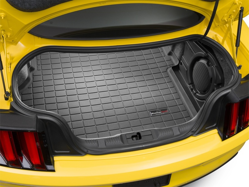 Ford Mustang Cargo Liner - WeatherTech - Black - `15-`27