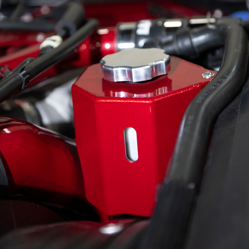 Ford F250 Engine Cover - Wehrli - Power Steering Reservoir - Sparkle Copper - `17-`26
