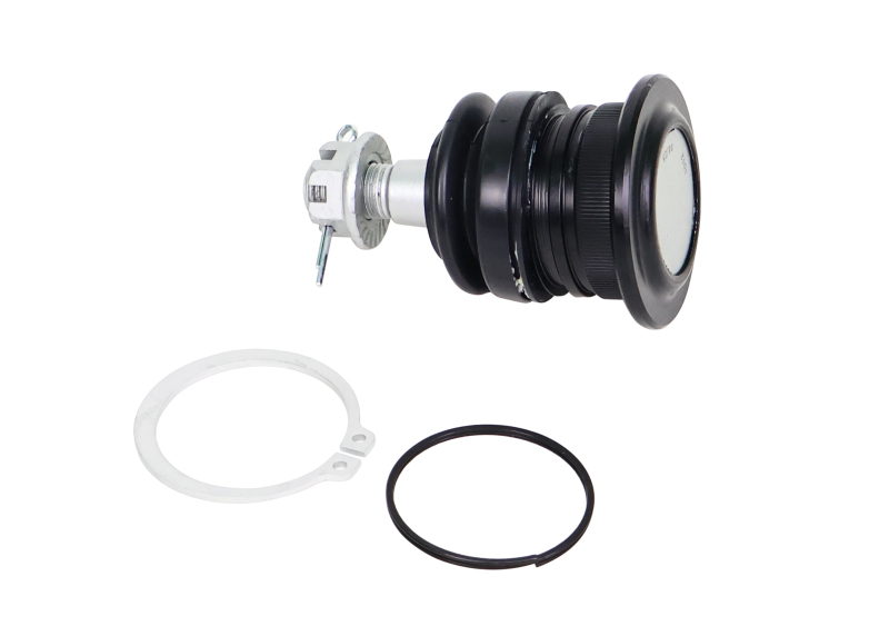 Lexus LX570 Ball Joints - Whiteline - Fixed Offset UCA Replacement - `08-`21