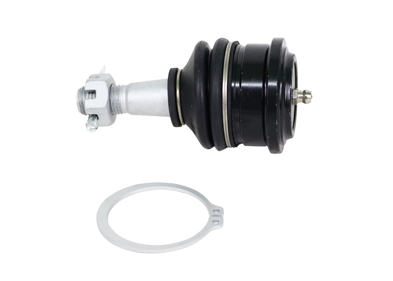 Nissan Frontier Ball Joints - Whiteline - Fixed Offset UCA Replacement - `05-`21