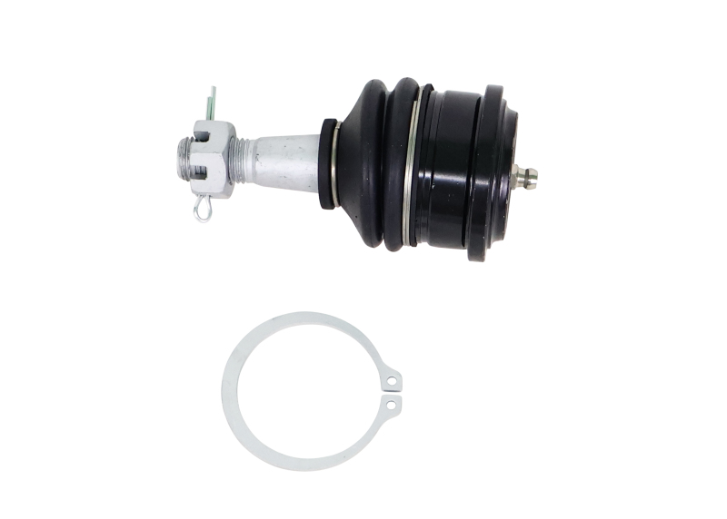 Nissan Frontier Ball Joints - Whiteline - Fixed Offset UCA Replacement - `05-`21