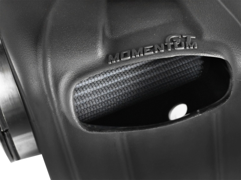 Nissan Titan Performance Air Intake - aFe - Momentum GT w/ Pro DRY S Filter - `04-`15