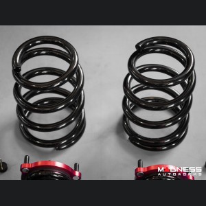 Tesla Model Y Coilover Kit - AWD - Corza Forza Performance - Strada Series