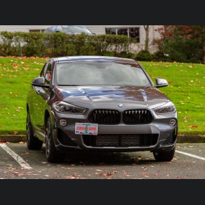 BMW X2 License Plate Mount - Platypus (2018-2024)