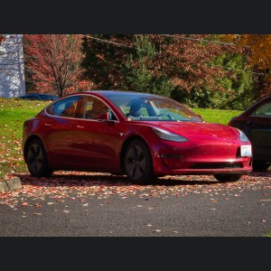 Tesla Model Y License Plate Mount - Platypus (2020-2023)