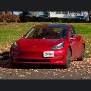Tesla Model 3 License Plate Mount - Platypus (2017-2023)