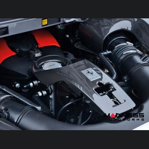 Ferrari F8 Engine Cover Trim - Carbon Fiber - Center Section