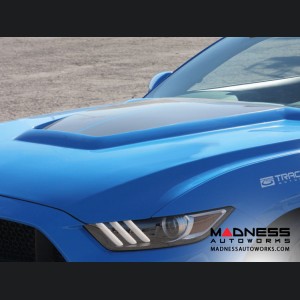 Ford Mustang Hood by Anderson Composites - Fiberglass - GT350r Style