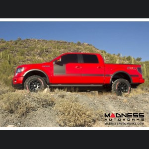 Ford F-150 4WD Suspension System - Stage 4 - (2009 - 2013)