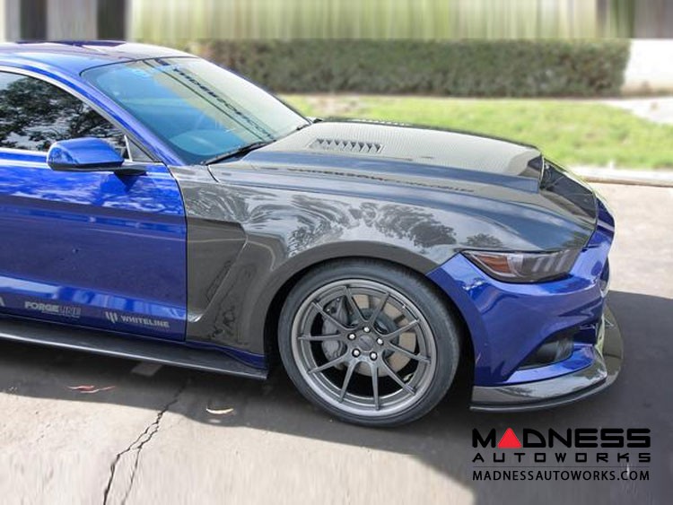 Ford Mustang Double Sided Hood by Anderson Composties - Carbon Fiber - "Super Snake"