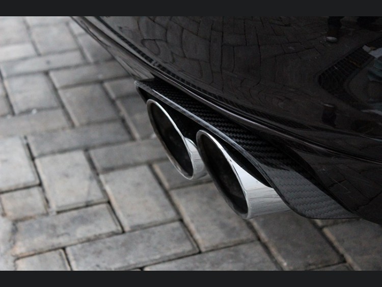 Porsche Panamera Exhaust Frame Trim - Carbon Fiber