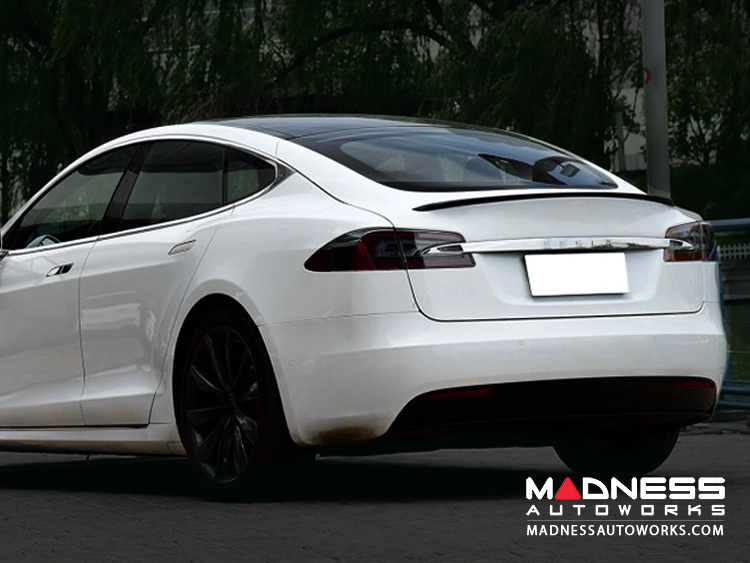 Tesla Tesla Model S Rear Diffuser W Custom Splitters