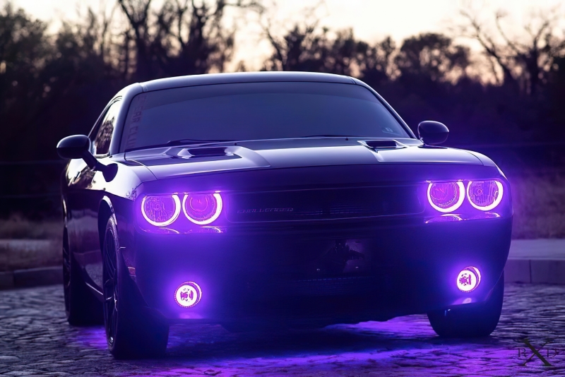 Dodge Challenger Surface Mount Halo Kits - Headlight & Fog Light - ORACLE Lighting - Dynamic ColorSHIFT - `08-`14
