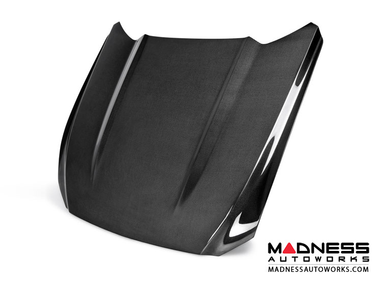 Ford Mustang Hood by Anderson Composites - Carbon Fiber - Type OE
